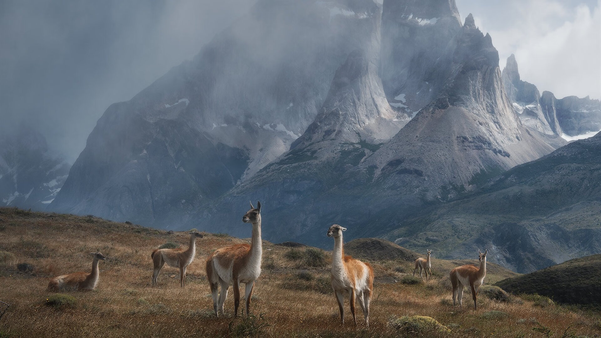 中国青少年篮球联赛直播平台用户数飙升，影响力增强，中国青少年篮球公开赛