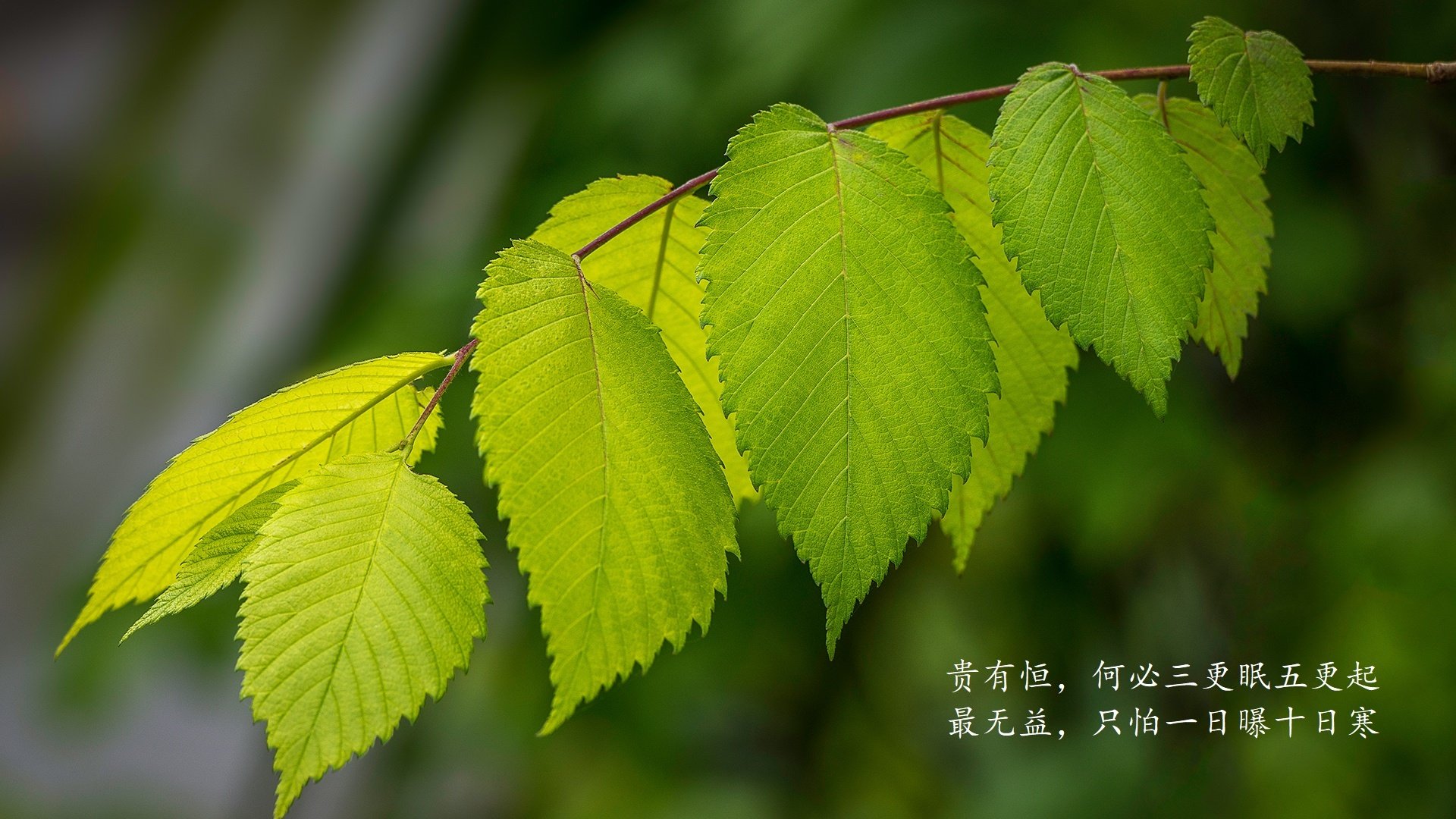 _奇才凭借防守反击,惊险过关_,奇才战况
