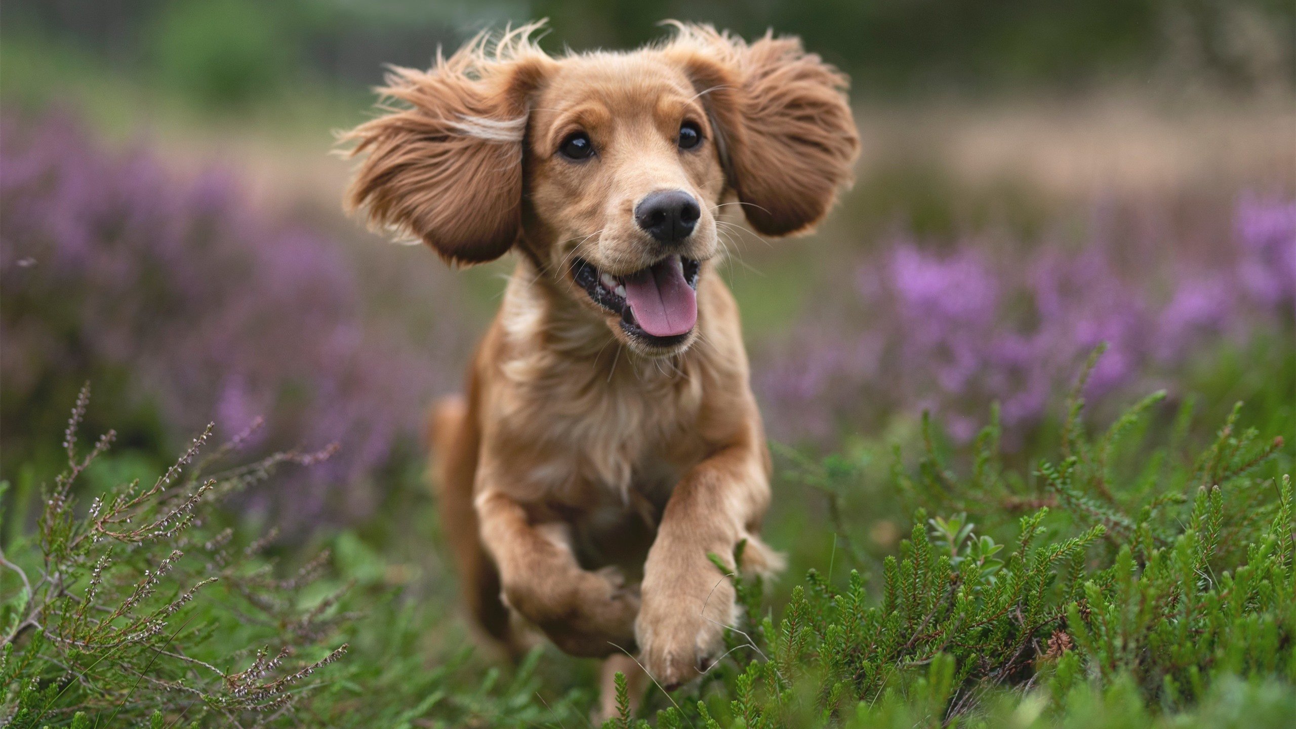 关键数据：北京队投篮命中率达46%，助攻达22次！，北京队篮球队队员