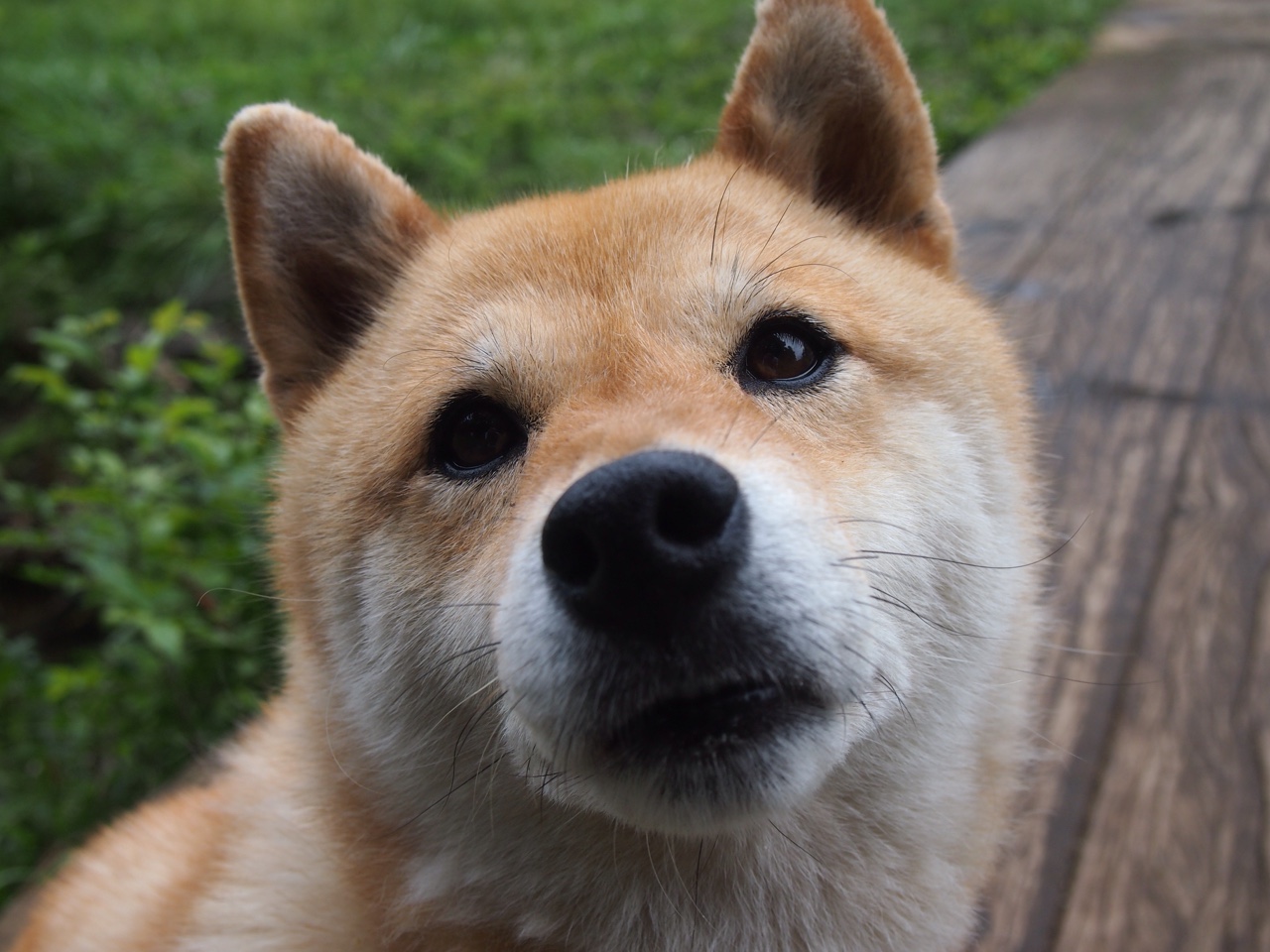 冬奥足球金靴归属伊朗前锋哈米德，伊拉克运动员哈米德