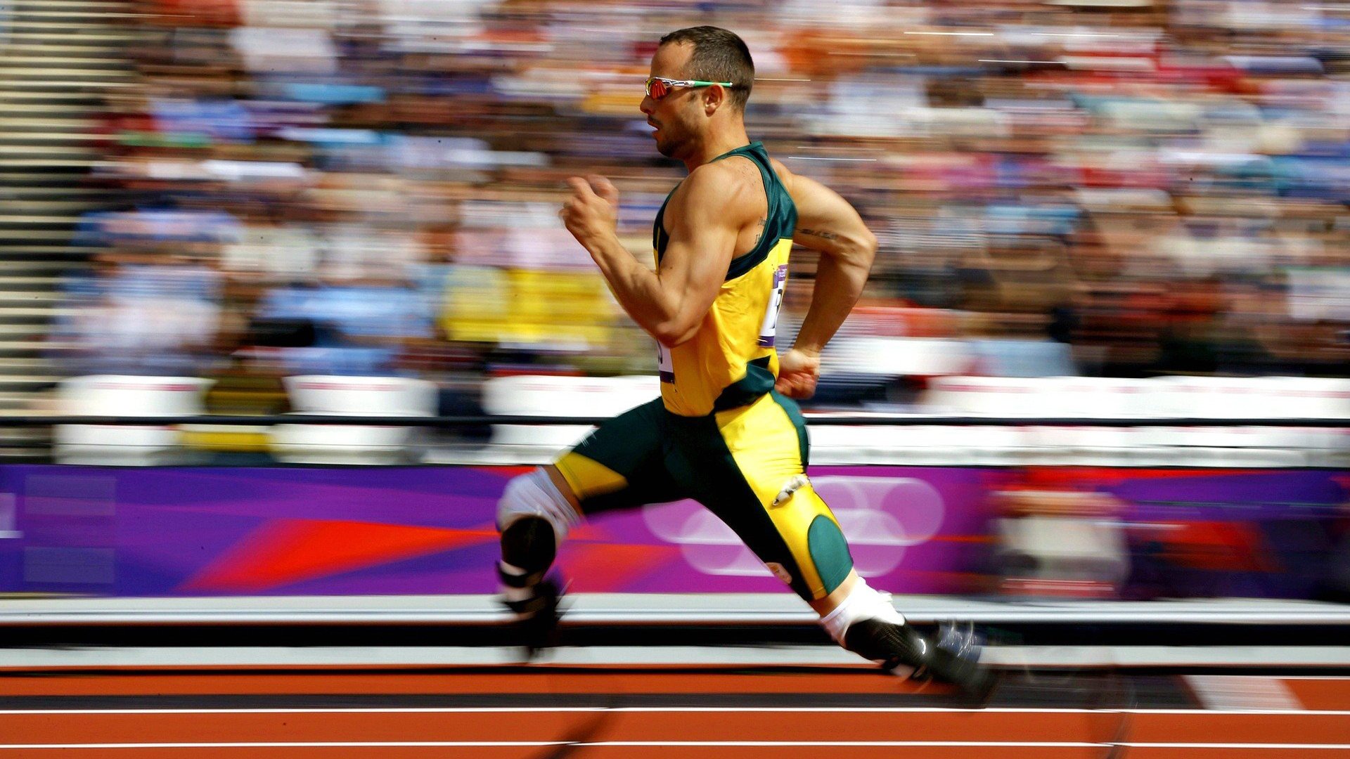 “马丁·高尔西引领美洲狮队防守革命，全面崛起”